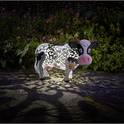Solar Kuh Daisy – 24 cm